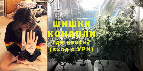 стафф Новозыбков