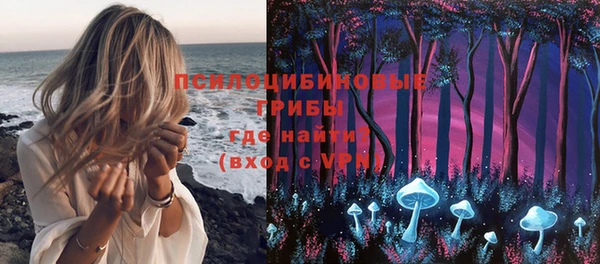 ПСИЛОЦИБИНОВЫЕ ГРИБЫ Алексеевка