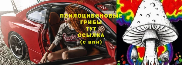 ПСИЛОЦИБИНОВЫЕ ГРИБЫ Алексеевка