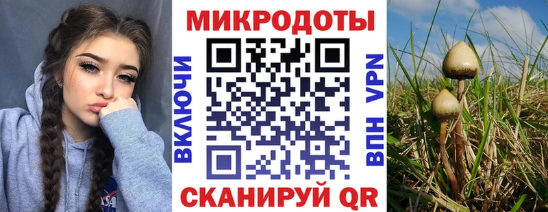 Псилоцибиновые грибы Psilocybine cubensis  где можно купить наркотик  Махачкала 